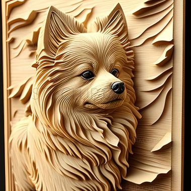 3D model st German Spitz dog (STL)